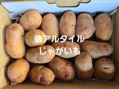 プロフィール必読！！！俵アルタイル彦星じゃがいも小　20㎏ じゃがいもタワラアルタイル彦星 種イモの通販～グリーンマーケット