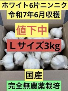 【初物】香川県産　乾燥にんにく　10kg 訳あり(割れ過ぎを含む)加工用 初物】香川県産 乾燥にんにく 10kg 訳あり(割れ過ぎを含む)加工