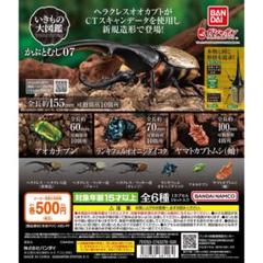 zapp様 リクエスト 2点 まとめ商品 ABC123様 リクエスト 2点 まとめ商品 - メルカリ