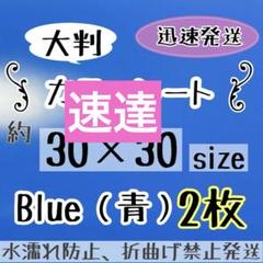 大判　赤 あか レッド カッティングシート　2枚　うちわ文字　規定外 大判 うちわ文字 つやあり カッティングシート 蛍光オレンジ 2枚