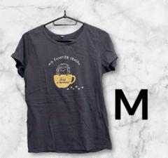 404 Tシャツ チャコールグレー Mサイズデザイン コットン