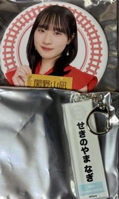 NGT48関野山凪さん短冊、缶バッジセット NGT48関野山凪さん短冊、缶バッジセット - メルカリ