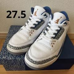 Nike Air Jordan 3 True Blue and Copper