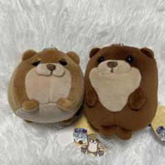 新品☆ カワウソ たちっぱシリーズ ぬいぐるみ マスコット キーホルダー