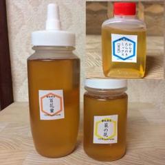 非加熱はちみつ】百花蜜250g&菜の花150g&からすたらのき50g(3本