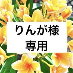 Ya@鑑定士の香水店プロフに割引情報様 リクエスト 2点 まとめ