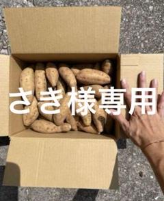 2025年最新】安納芋 こがねの人気アイテム - メルカリ