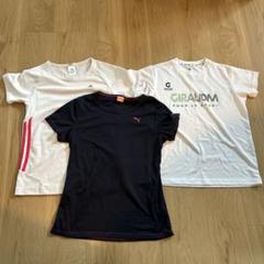 楽天市場】スポーツウェア 単品or3点セット セットアップ