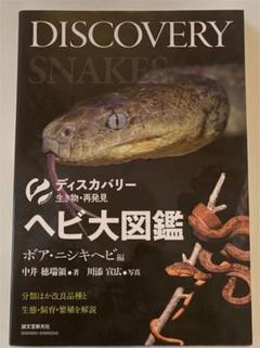 海外並行輸入正規品 【取りに来てくださる方限定!】 グラステラリウム9045 - 爬虫類/両生類用品