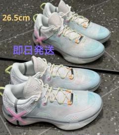 【新品即日発送】 リーニンLINING Wade shadow6 US9 LI-NING Way Of Wade ウェイ オブ ウェイド LI-Ning リーニン
