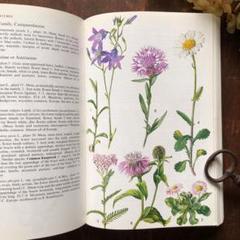 北欧暮らしの雑貨図鑑の中古 未使用品を探そう メルカリ