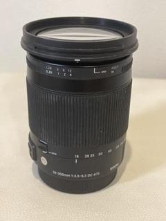Amazon.com : Canon EF 28-300mm f/3.5-5.6L IS USM Lens