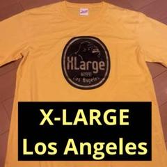 XLARGE #1991 Los Angeles Tシャツ　Lサイズ
