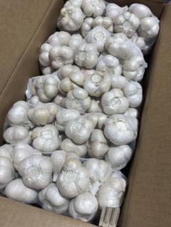 青森県産　にんにく　Ｍ　５ｋｇ　発芽　大特価 青森県産 にんにく M 5kg 発芽 大特価 - メルカリ