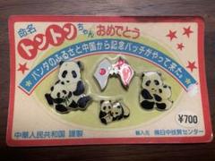 トントンちゃんおめでとうバッジ 4個セット