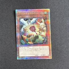 2025年最新】ドロール&ロックバード 絵違いの人気アイテム
