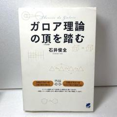 ガロア理論の頂を踏む