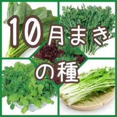 【野菜の種】5種 150粒 種子