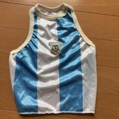 adidas サッカー アルゼンチン代表 2018 10 タンクトップ メッシュ adidas サッカー アルゼンチン代表 2018 10 タンクトップ メッシュ