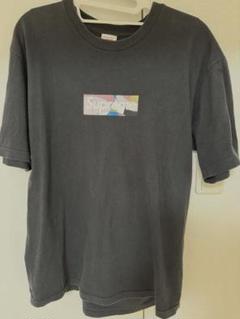 Supreme ボックスロゴ　box logo エミリオプッチ　コラボ Tシャツ