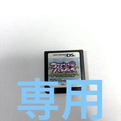 専用DSソフト コスメちっくパラダイス