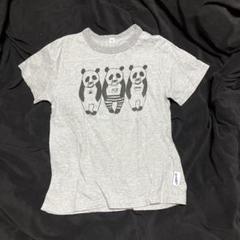 マーキーズ　パンダTシャツ 130サイズ