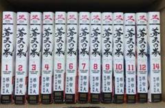 2025年最新】蒼天の拳 14の人気アイテム - メルカリ