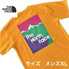 THE NORTH FACE/ザノースフェイス　半袖　Tシャツ　バックプリント