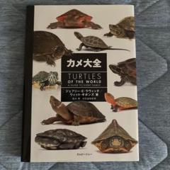 カメ大全