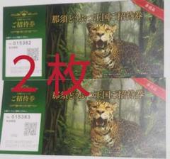 那須どうぶつ王国 チケット 2枚
