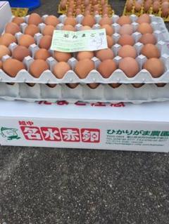 80個 若たまご たまご掛けご飯用 生2週間 加熱1カ月 目玉焼き