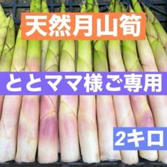 2025年最新】種類：たけのこ 野菜の人気アイテム - メルカリ