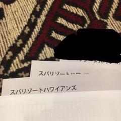 ひろさん専用 スパリゾートハワイアンズ 入場券 2枚セット