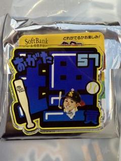福岡ソフトバンクホークス シークレットアクリルネームバッジ 緒方理貢選手