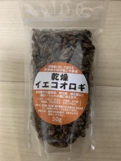 乾燥イエコオロギ50g セール中!