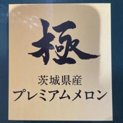 kw2糖度18度以上！茨城県旭村産エルソルメロン極4Lサイズ1箱3玉