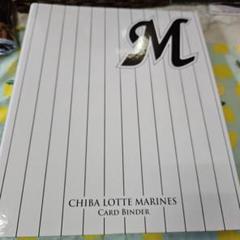 プロ野球カード フォルダー
