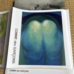 COMME des GARÇONS ジョージア・オキーフ アートカタログ ジョージア・オキーフ アートカタログコムデギャルソン 写真集