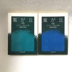 エミリ・ブロンテ論   /開文社出版/柳五郎（単行本） 2025年最新】エミリーブロンテの人気アイテム - メルカリ
