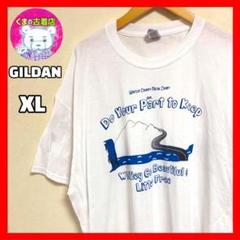 usa古着 GILDAN Tシャツ 山 滝 川 イラスト ホワイト XL