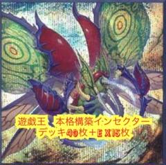 遊戯王　本格構築グレートモスデッキ40枚＋E X15枚