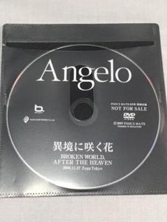 2025年最新】angelo dvdの人気アイテム - メルカリ