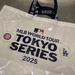 ビーファースト　WORLD　TOUR　2025　トートバック BE:FIRST ワールドツアー VIP特典 トートバッグ - メルカリ