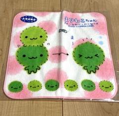 2025年最新】まりもこちゃん サンエックスの人気アイテム - メルカリ