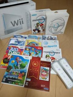 【大満足！】Nintendo Wii 本体 ソフト セット
