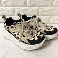 全国完売・入手困難✨新品✨25✨ ca805 dalmatian ダルメシアン 2025年最新】CA805 ダルメシアンの人気アイテム - メルカリ