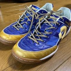 【ときわテッサ】Tesse Light ID PRO サッカーシューズ　24.5