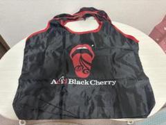 Acid Black Cherry ボストンバッグ 2025年最新】acid black cherry バッグの人気アイテム - メルカリ