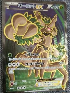 ポケモンカ―ド　オ―ロット