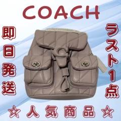 【新品 未使用】クラシックタイガースポットバックパック パープル　CU077